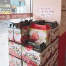 5775 | 타이짬뽕 금호점ㅣ영천중국집 탕수육 불고추짬뽕 야끼우동 솔직후기