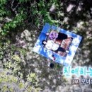 친애하는나의식물씨
