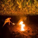 우연한발견 이미지