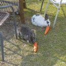 선흘아이 이미지