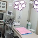 탑동물병원 이미지