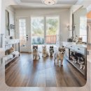 성수동물병원 | 성수 폼스키분양 초코와 함께한 한 달의 기록