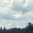 영진카타이어 | 넥센타이어 스피드웨이 모터페스티벌 4R 용인 에버랜드 스피드웨이 서킷