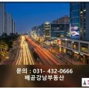 성공공인중개사사무소 | 배곧상가 투자의 성공 비결, 배곧강남공인중개사사무소에서 찾아보세요
