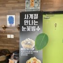 가비오타(GAVIOTA) 네이버블로그