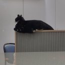 세친구곱창수유인수점 | 9월 기록 (여름 외않끗나?)