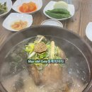 낙원한약국 | 목포맛집 진한 맛이 일품 산약초 삼계탕 전문 삼계원