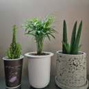 (주)트리플래닛 이미지