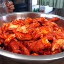 동호해비치 이미지