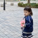 사랑해요 | [내돈내산] 망고라이언 사랑해요 전집 후기｜29개월 생활동화, 책 읽고 꽃 선물까지