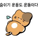 도봉로112길칼국수돈까스