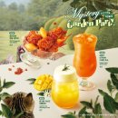 메가엠지씨커피 목포대점 | 메가커피 치킨 엠지씨네 양념컵치킨 가격 칼로리 맛 솔직후기