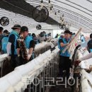 한국농어촌공사강원지역본부 이미지