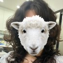 이루필라 | 일희일비 않기 (9/1-9/6)