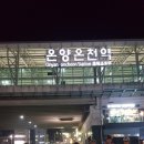 벨집