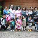 거목 통나무집 이미지