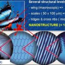 빛의파동 이미지