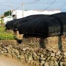 성읍보건진료소 이미지