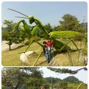 꺼먹다리펜션 이미지