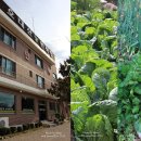 오대산농원식당 이미지