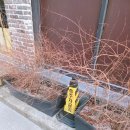 새김 | ʚɞ 포항 실내데이트 반지 당일 제작 추천 📍포항반지공방 새김 방문 후기