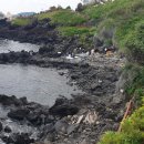 순천-34호 이미지