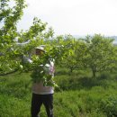 자연농원 이미지