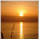 별님과바다 이미지