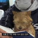 이룰디앤디
