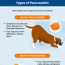 거제동물병원 이미지