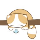 파인더블 이미지