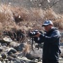 아라둘레 Daum카페