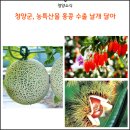 칠갑농산 유한회사