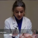 서린메디칼 네이버블로그