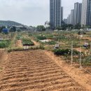 수령농장 이미지