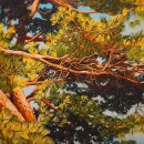 제22회 대한민국한지대전 이미지