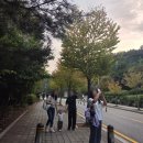 씨에프치킨호프