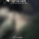 거상광고