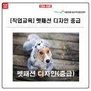 패션디자인(중급) 이미지