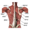 오*석 이미지