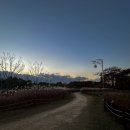 하단동1209 이미지