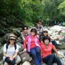 양감초등학교 이미지