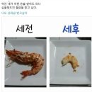 원동슈퍼 | 3월 냠냠일기 탐매축제, 원동미나리축제, 순매원을 겻들인