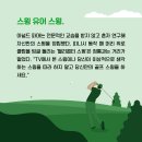 하이버디