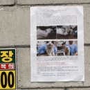 고돌이네 이미지