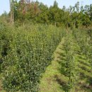 구실농장 이미지