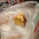 파주수국길(주) 이미지