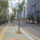엠제이 아이래쉬 네이버블로그