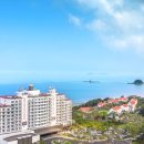 아일랜드리솜 이미지