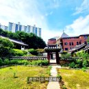 서예(사군자)및 문인화 이미지